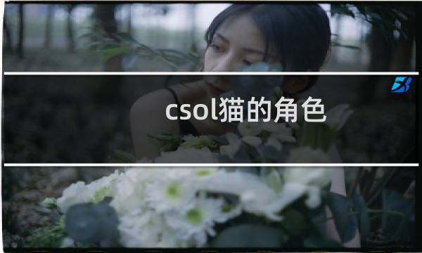 csol猫的角色