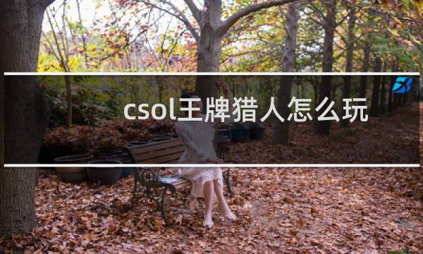 csol王牌猎人怎么玩
