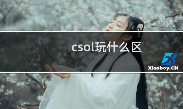 csol玩什么区