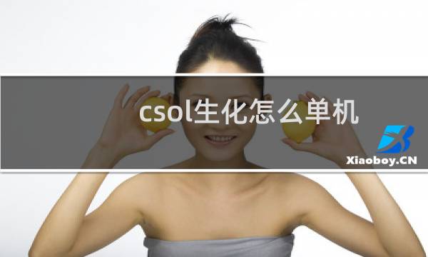 csol生化怎么单机