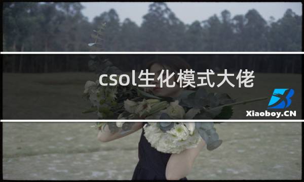 csol生化模式大佬