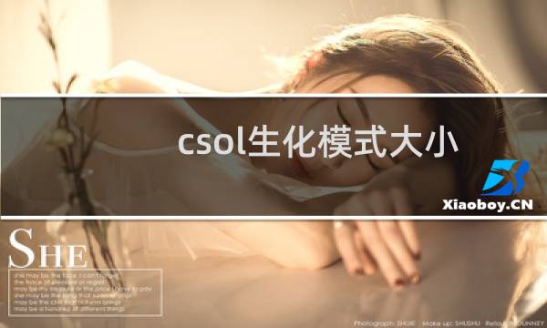 csol生化模式大小