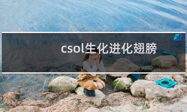 csol生化进化翅膀