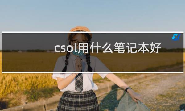 csol用什么笔记本好