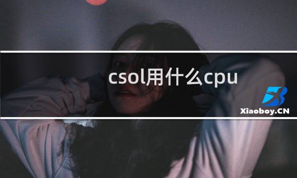csol用什么cpu