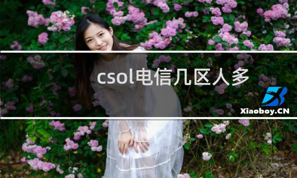 csol电信几区人多