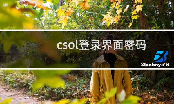 csol登录界面密码