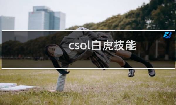 csol白虎技能