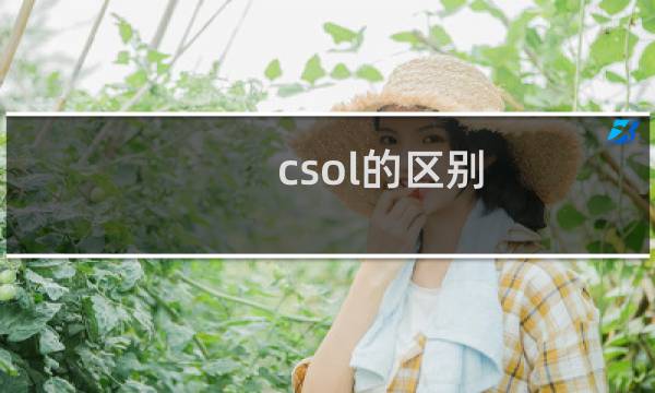 csol的区别