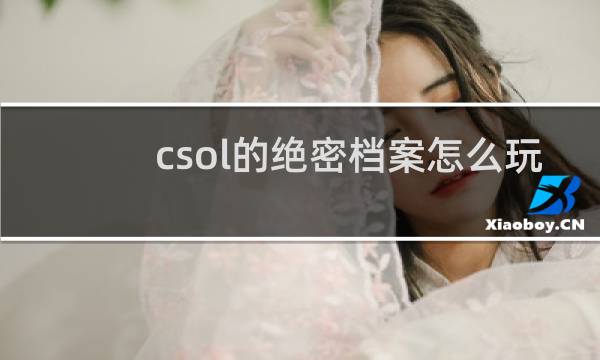 csol的绝密档案怎么玩
