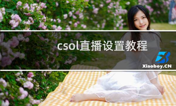 csol直播设置教程