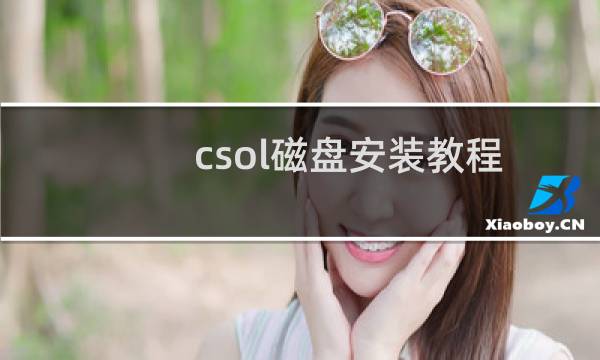 csol磁盘安装教程