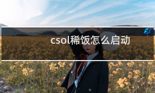 csol稀饭怎么启动