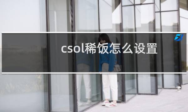 csol稀饭怎么设置