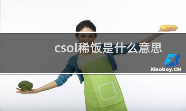 csol稀饭是什么意思