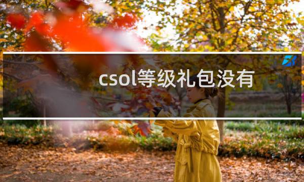 csol等级礼包没有