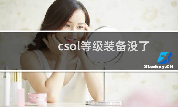 csol等级装备没了