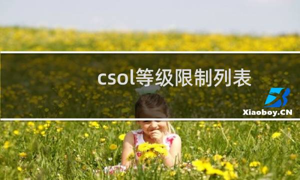 csol等级限制列表