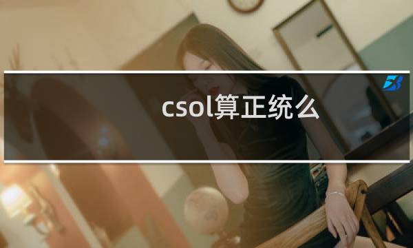 csol算正统么