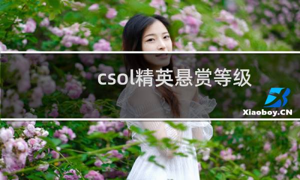 csol精英悬赏等级