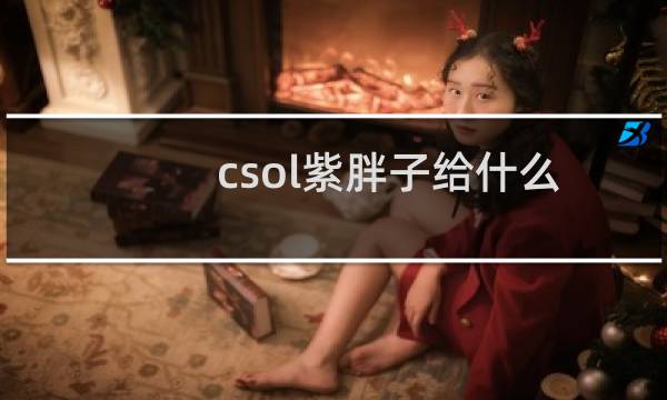 csol紫胖子给什么