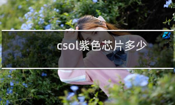 csol紫色芯片多少