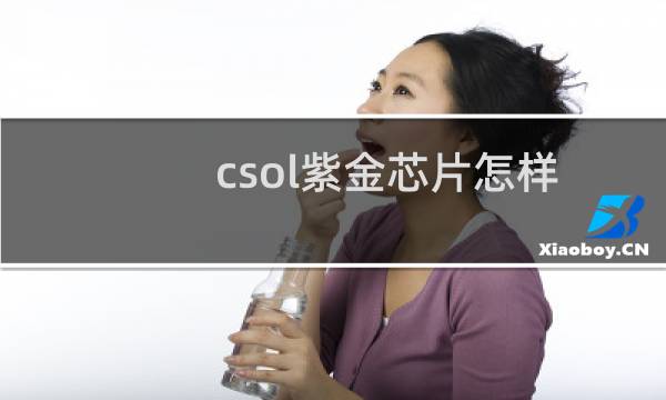 csol紫金芯片怎样