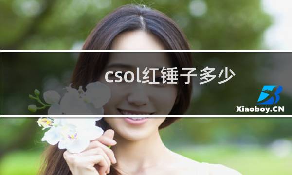 csol红锤子多少