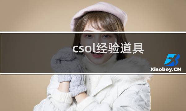 csol经验道具