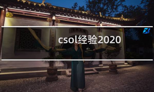 csol经验2020
