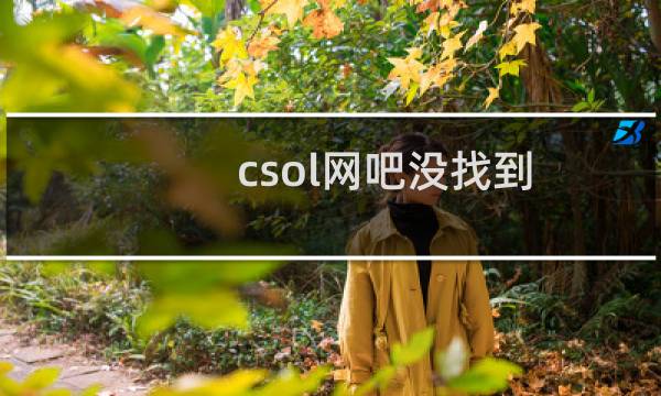 csol网吧没找到