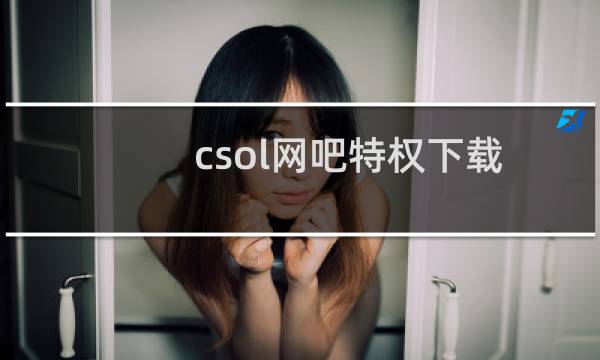 csol网吧特权下载