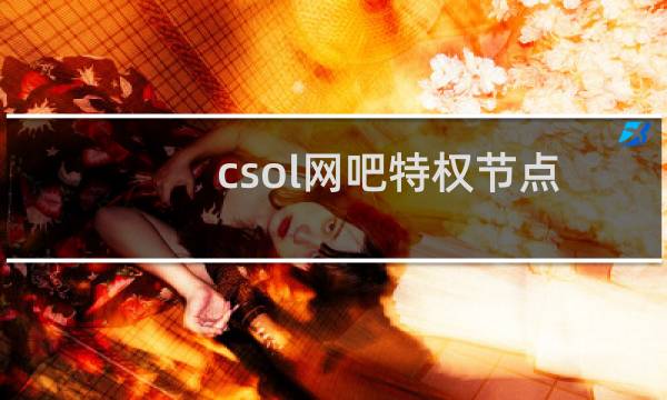 csol网吧特权节点