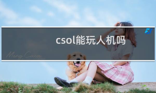 csol能玩人机吗