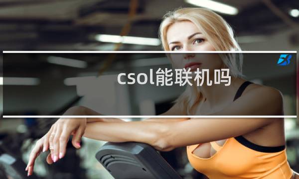 csol能联机吗