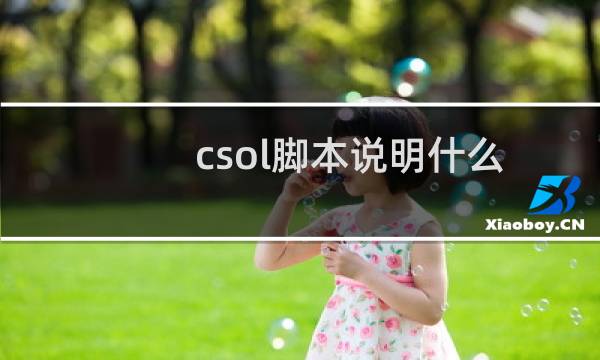 csol脚本说明什么