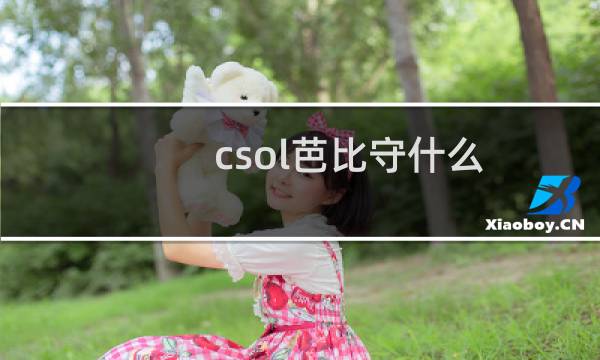 csol芭比守什么