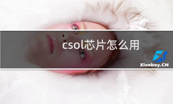 csol芯片怎么用