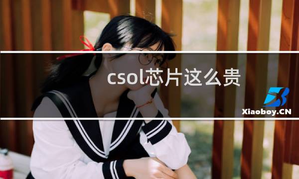 csol芯片这么贵