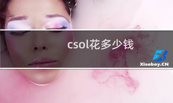 csol花多少钱