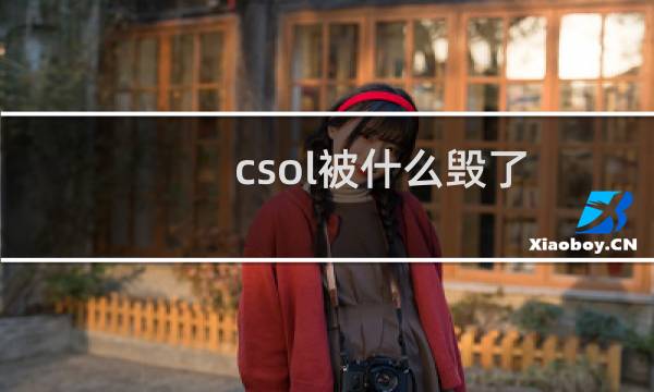 csol被什么毁了