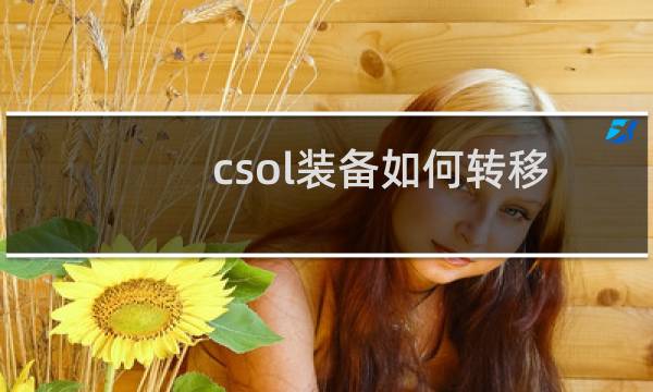 csol装备如何转移