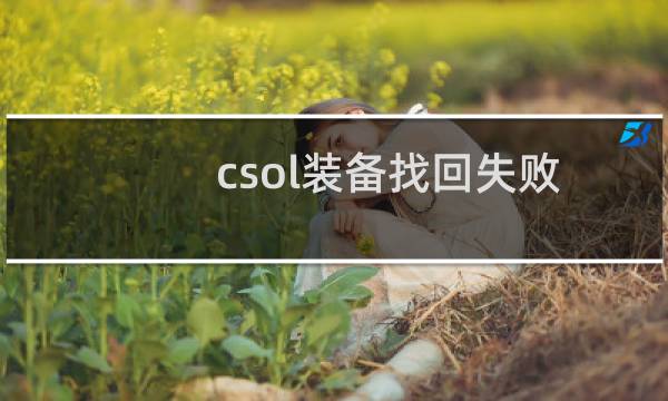 csol装备找回失败