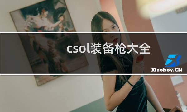 csol装备枪大全