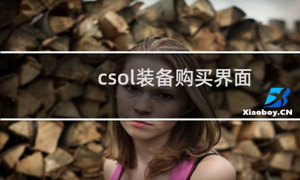 csol装备购买界面
