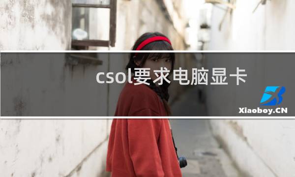 csol要求电脑显卡