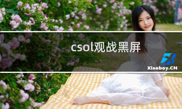 csol观战黑屏