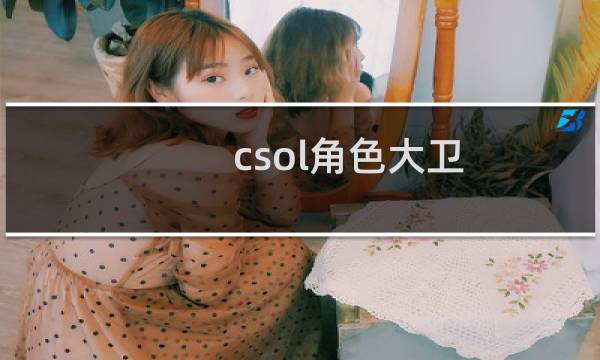csol角色大卫