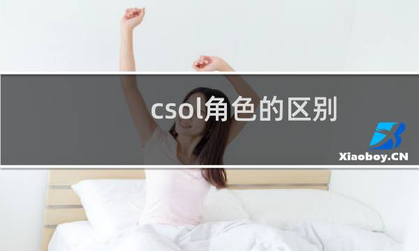csol角色的区别