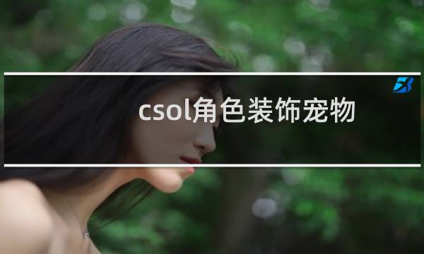 csol角色装饰宠物